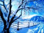 雪之柔美
