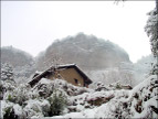 雪之柔美