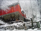雪之柔美