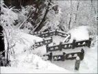 雪之柔美