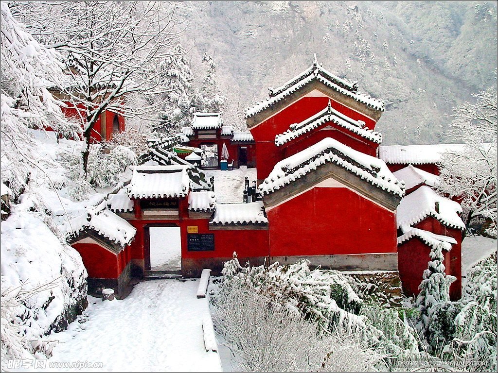 雪之柔美