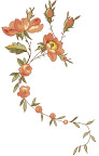 PSD手绘时尚花卉花纹2
