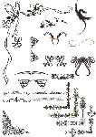 时尚矢量图花纹