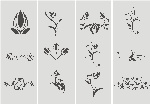 花纹