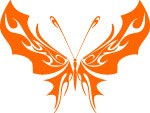 蝴蝶