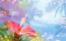 梦幻花卉