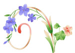 花边