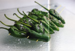 日本菜 美食