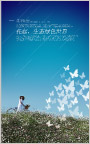 海报