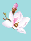 花