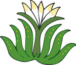彩色矢量花纹