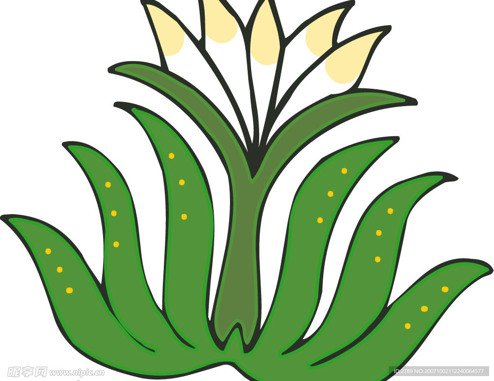 彩色矢量花纹