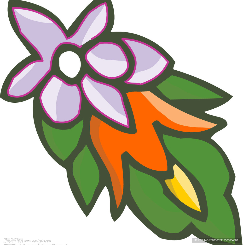 彩色矢量花纹