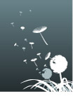 蒲公英矢量