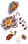 花纹