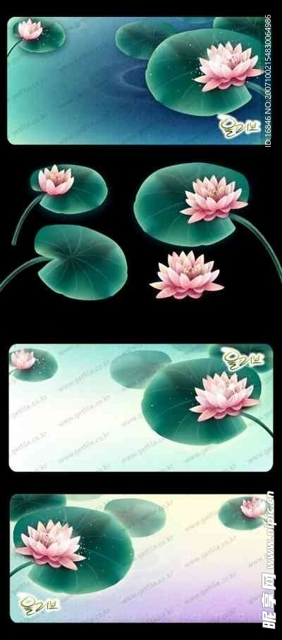 花纹