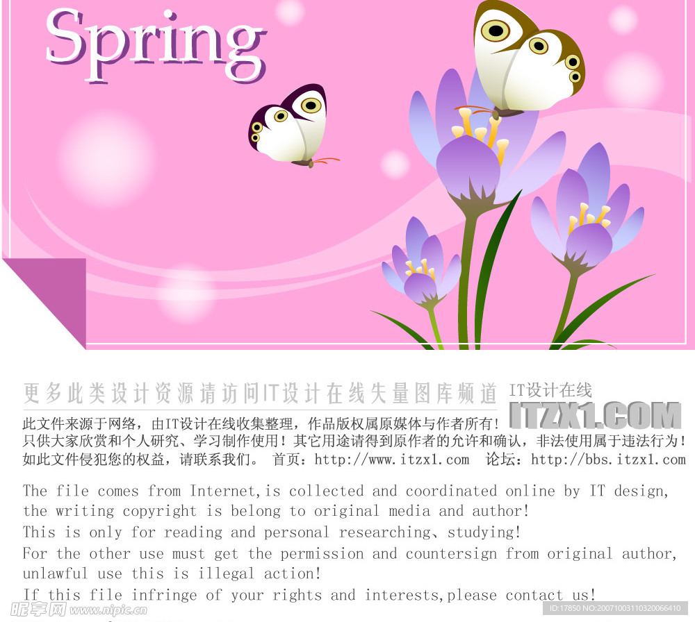 精美花纹