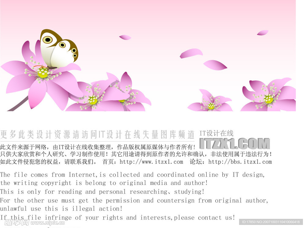 精美花纹