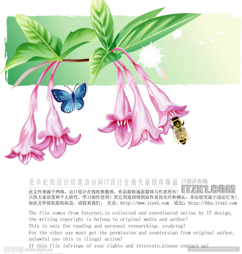 精美花纹