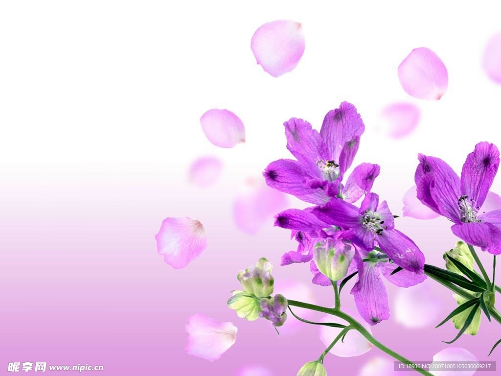念想开成繁花