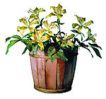 花饰小品