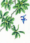 水彩花鸟国画全集（共118）