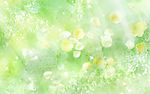 梦幻花语