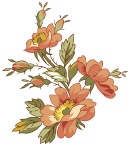 韩国漂亮花纹