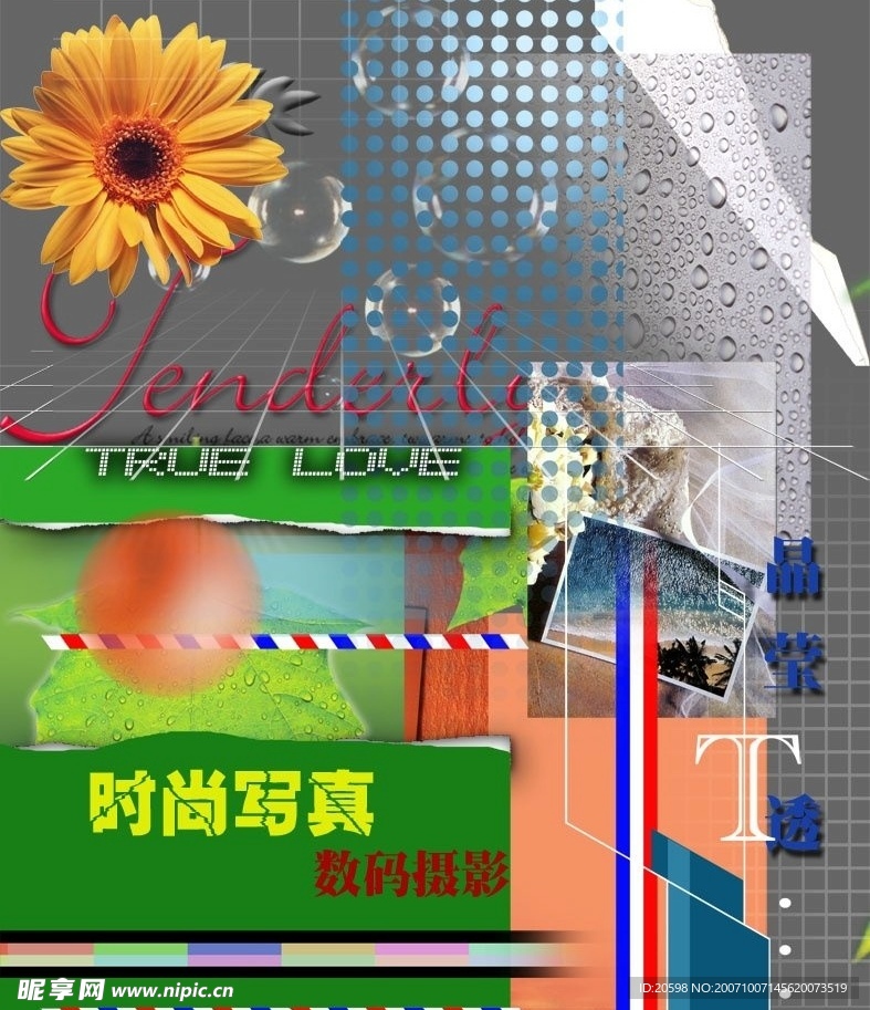 素材