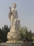 牡丹仙子