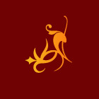 花纹10