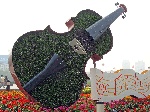 湖北宜昌：小提琴扎景奏和谐喜迎“十七大”