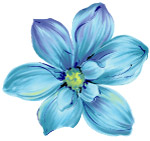 韩国花朵花纹