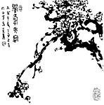 眉寿