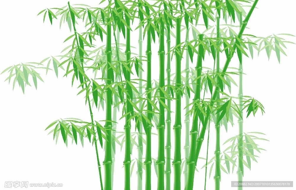精品矢量-竹子
