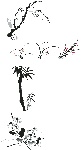 AI矢量 水墨四君子 （梅 兰 竹 菊）
