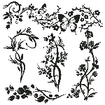 黑白花纹矢量
