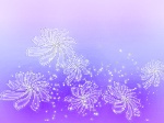 梦幻之花２