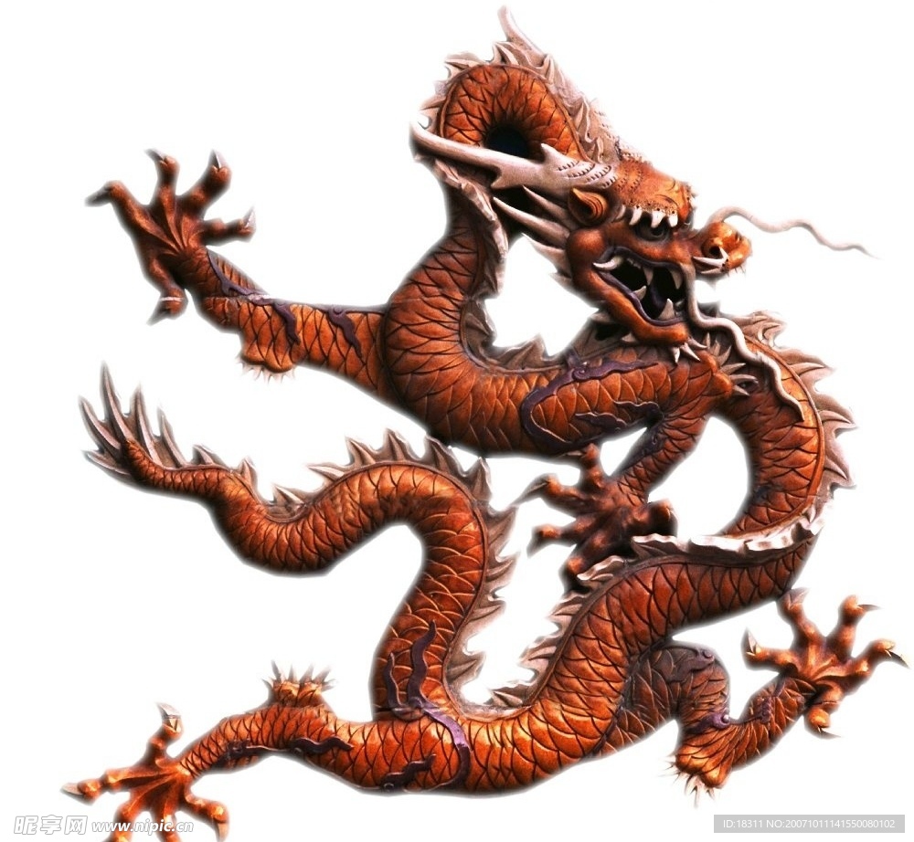 龙