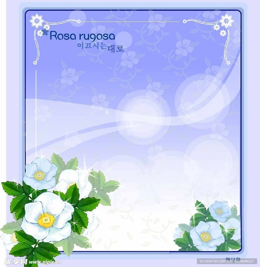 精美花纹底纹