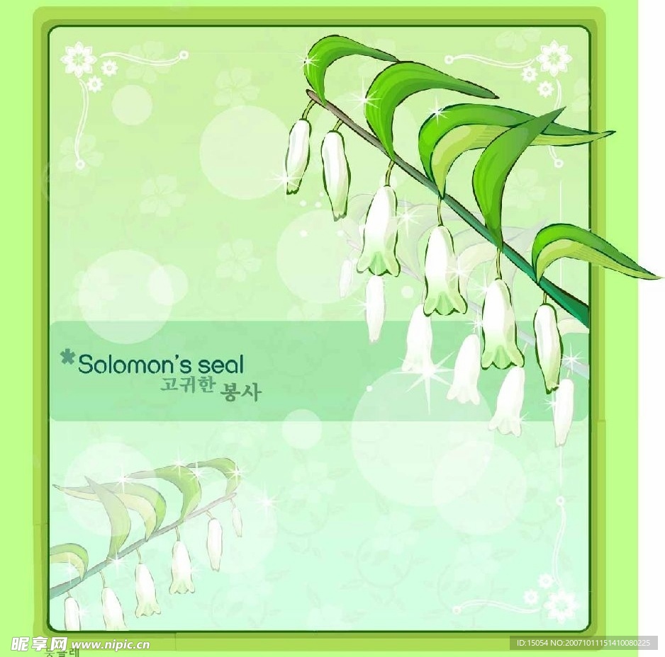 精美韩国底纹花纹