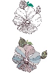 超级矢量---花朵矢量素材[AI]