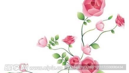一组漂亮的鲜花