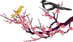 绝版梅花-3