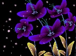梦幻之花