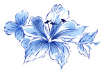 超酷手绘花纹