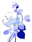 优雅的矢量花  韩国花纹