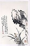 兰花６