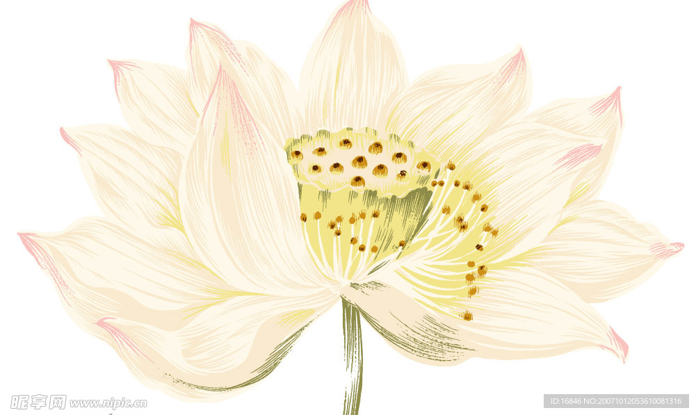 花纹