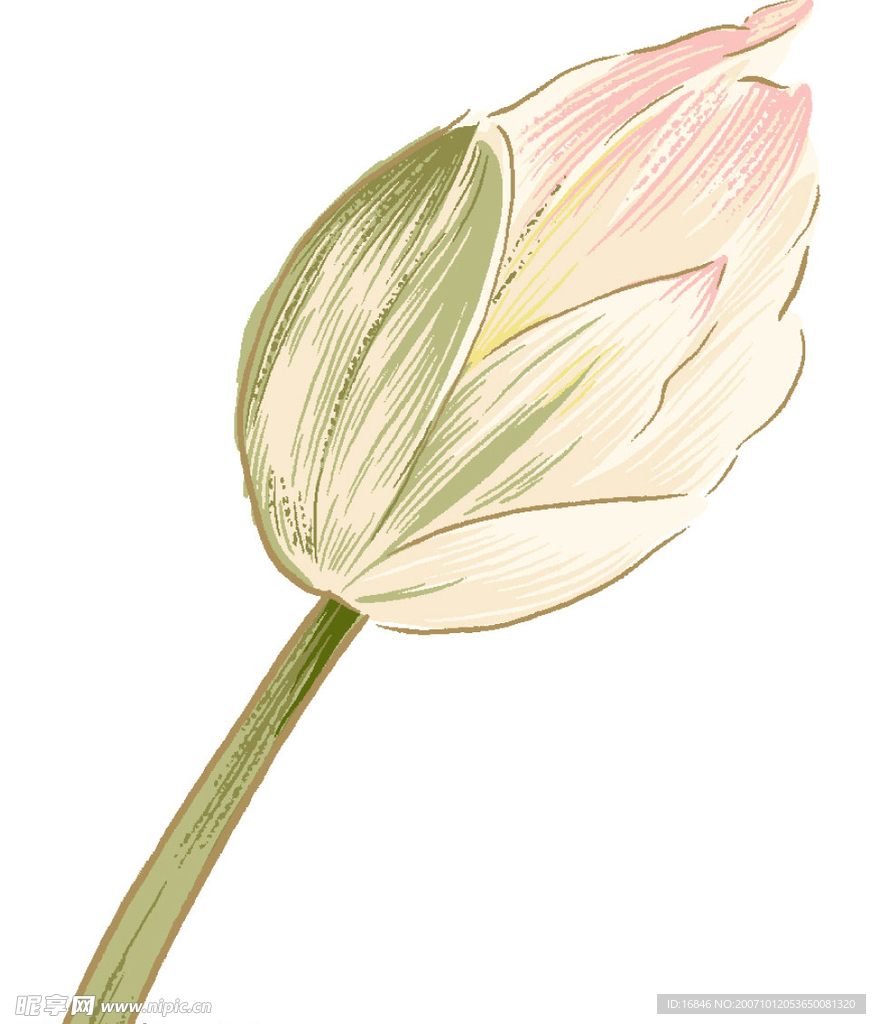 花纹